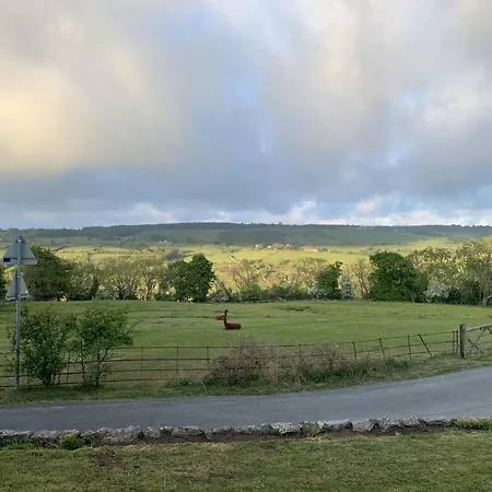 Brambly ウィットビー